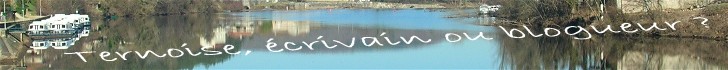 Ternoise &eacute;crivain ou blogueur ? 